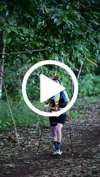 BIB:  <button type="button" onclick="openModal(27539814)" class="btn btn-primary btn-sm float-right" data-toggle="modal" data-target=".modal-high-quality">
                <i class="fa fa-download"></i> Download
                </button>